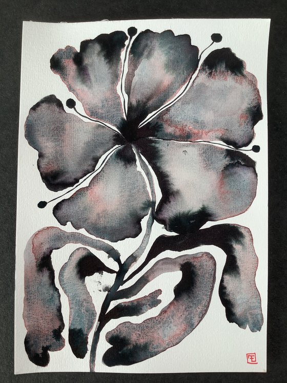 DARK BOTANIC