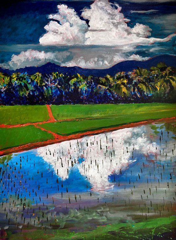 Clouds and rice