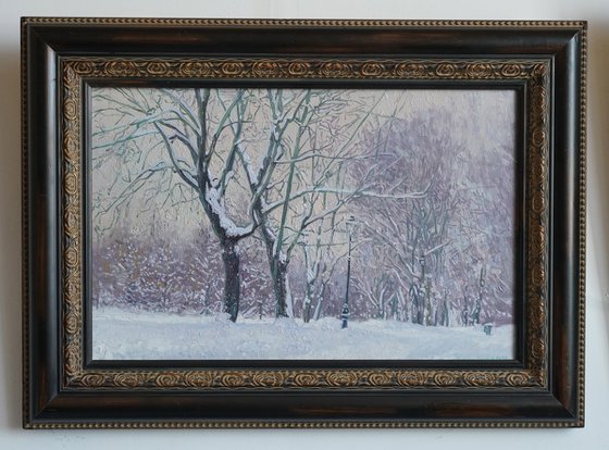 Maple Alley in January