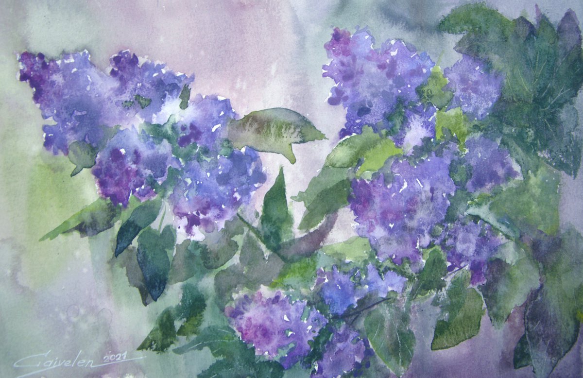 Lilac garden by Elena Gaivoronskaia