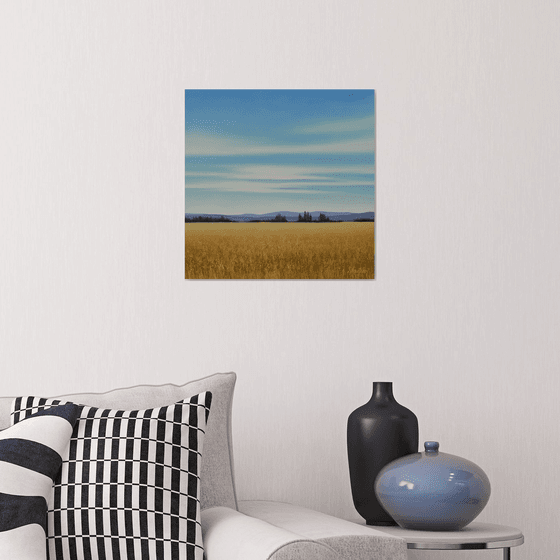 Gold Wheat - Blue Sky Landscape