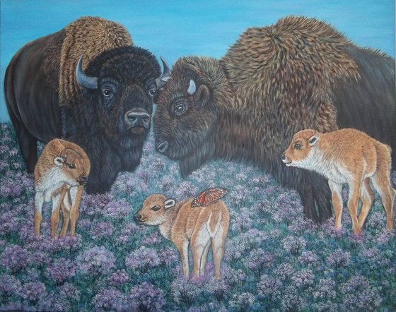 Bison and Butterfly, American Buffalo