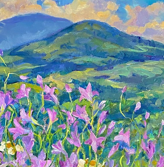 Mountain Meadow in Bloom