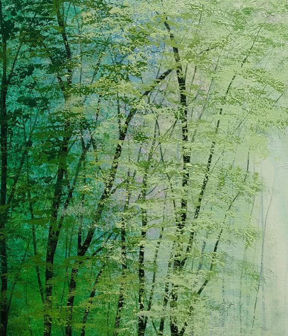 Sunlight Serenade Forest Glade