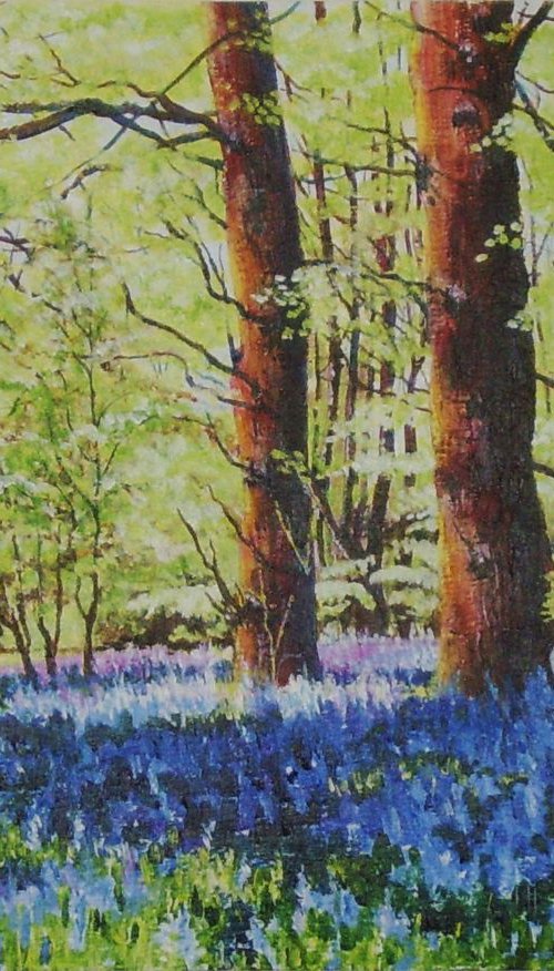 Spring 1 by Max Aitken