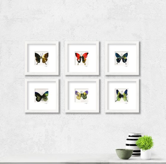 Butterfly Song Collection 2