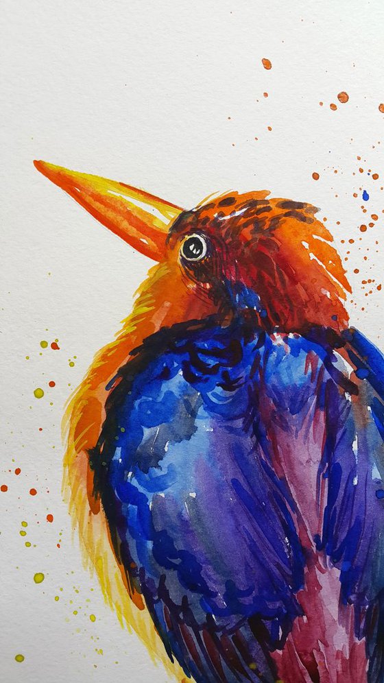 Colored bird