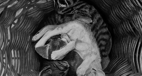 Artwork by Kateryna Kostyk