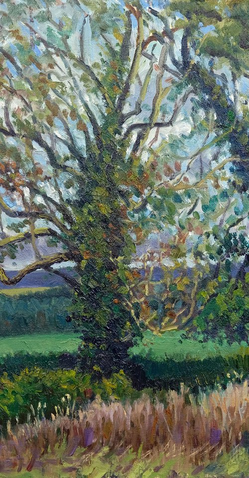 Towards the Kilburn White Horse by Jeff Parker