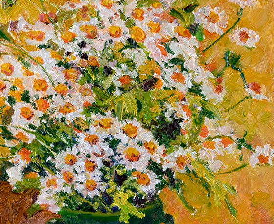 Chamomiles from Forest