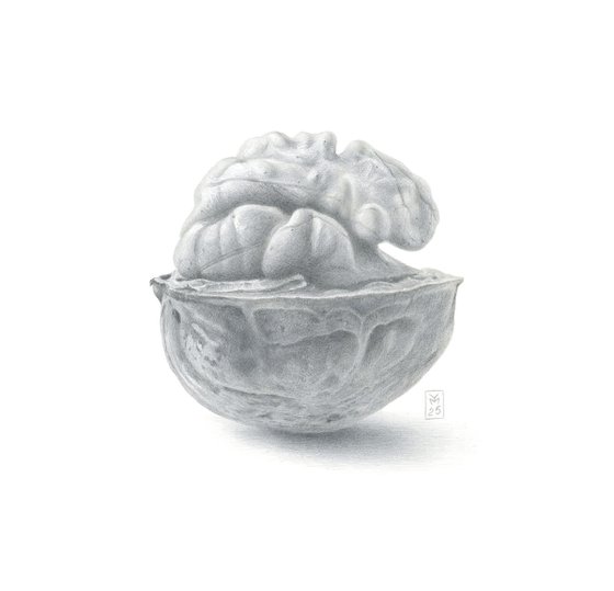 Walnut, Resting