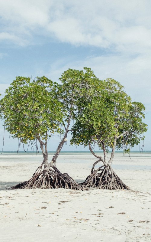 Empty Palawan Beach by Serge Horta