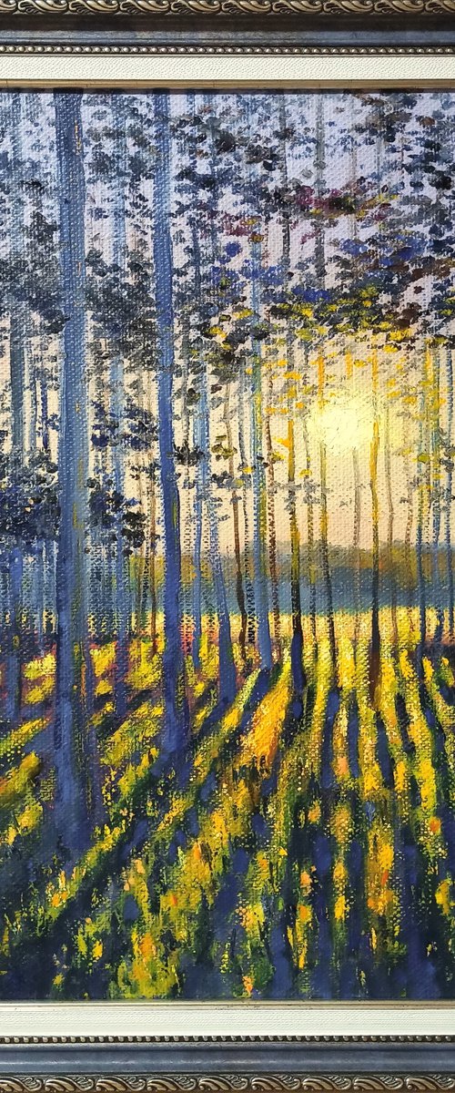 July evening by Oleh Rak