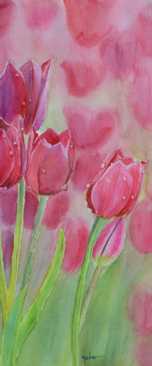 Dew drops on the Tulip by Neha Soni