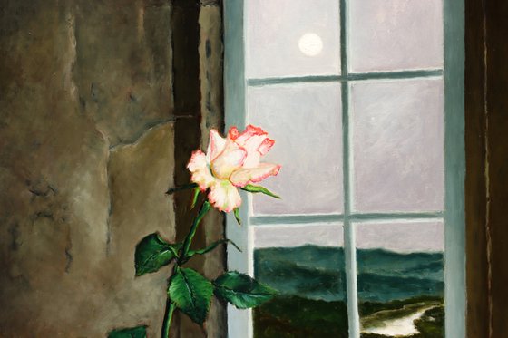 Perception of the rose