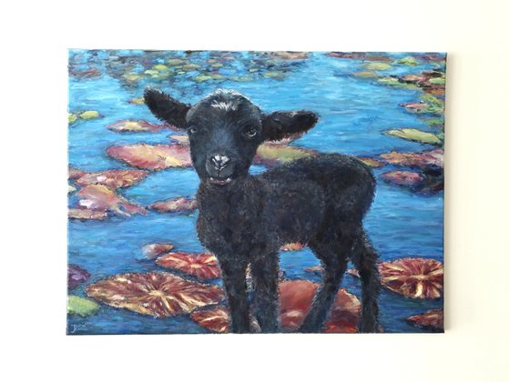 Black Sheep at The Pond