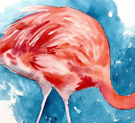 Between Moments_Flamingo