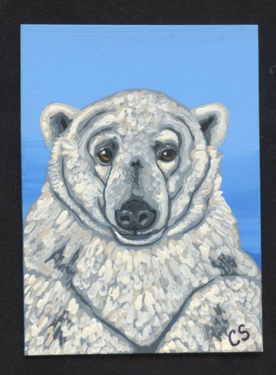 ACEO ATC Original Painting Polar Bear Wildlife Art-Carla Smale