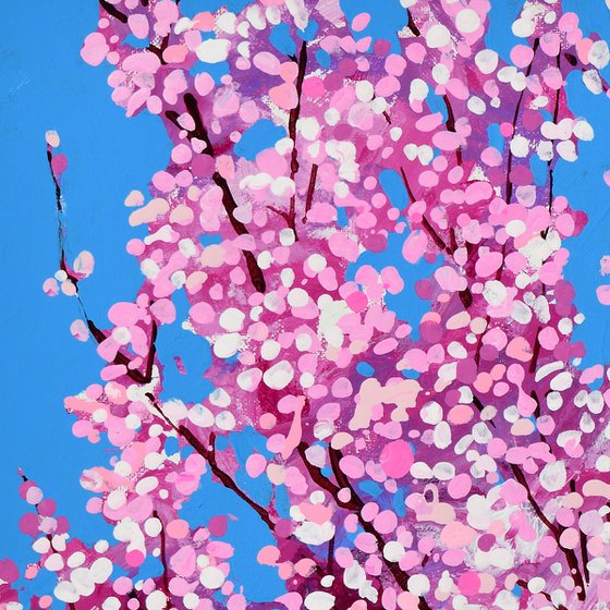 Cherry Blossom #5