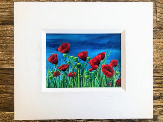 Poppy Field 4