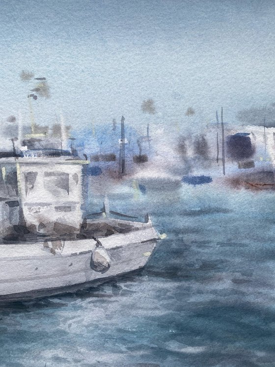 Morning harbour