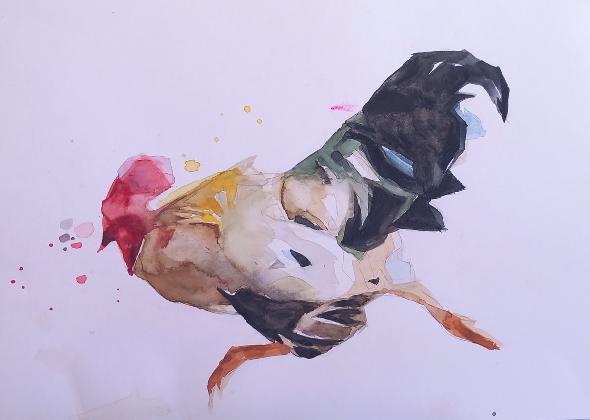 ROOSTER 1 by Boro Ivetic