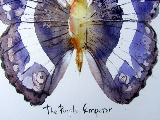 The Purple Emperor (Apatura Iris)