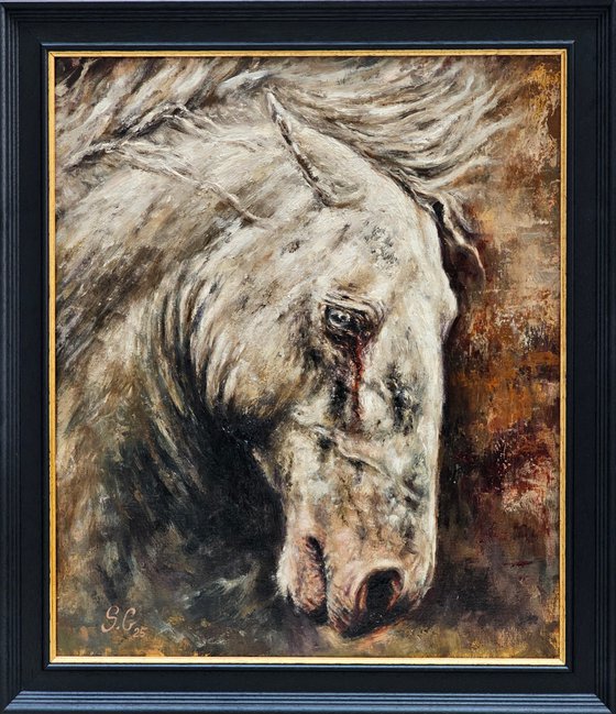 Wounded-Original Horse Portrait
