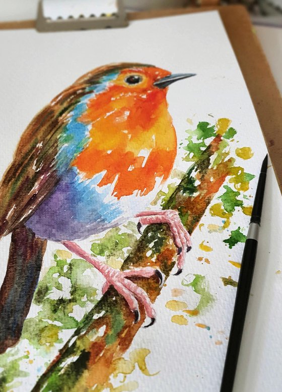 Robin Redbreast Watercolour