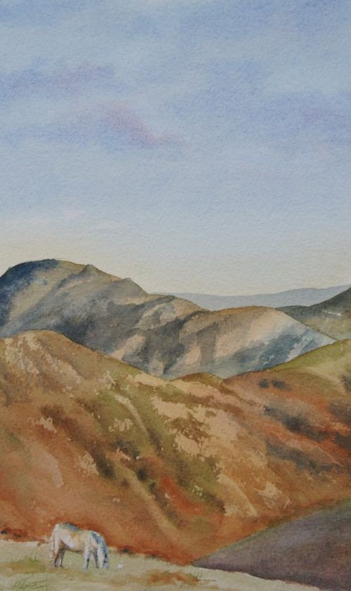 Long Mynd Hills by Silvie Wright