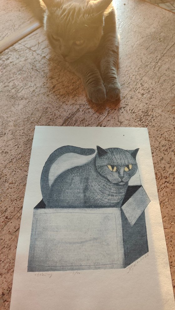 My Cat Theodor.