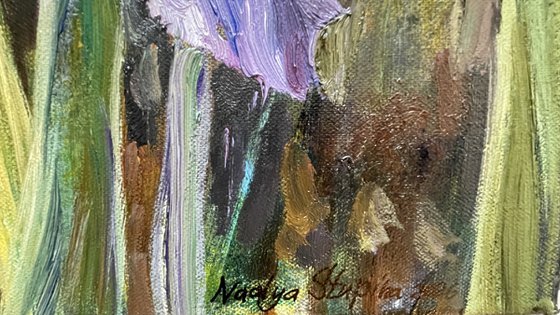 When the irises were big