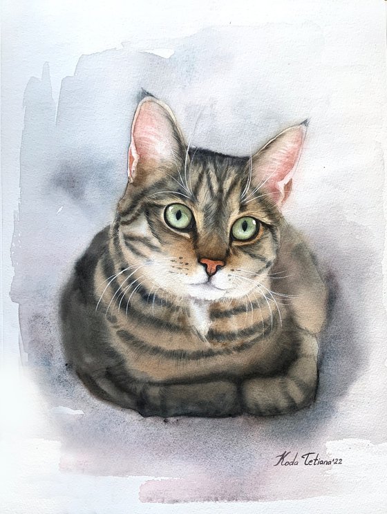 Cat portrait