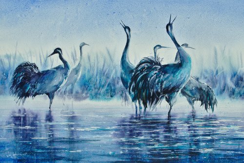 Common cranes by Eve Mazur