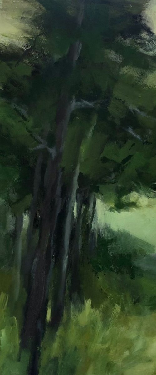 Forest Calm by Joanna Farrow