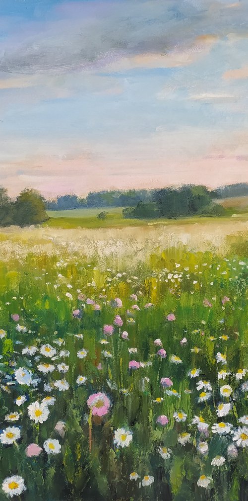 Field of daisies by Valentina Andrukhova
