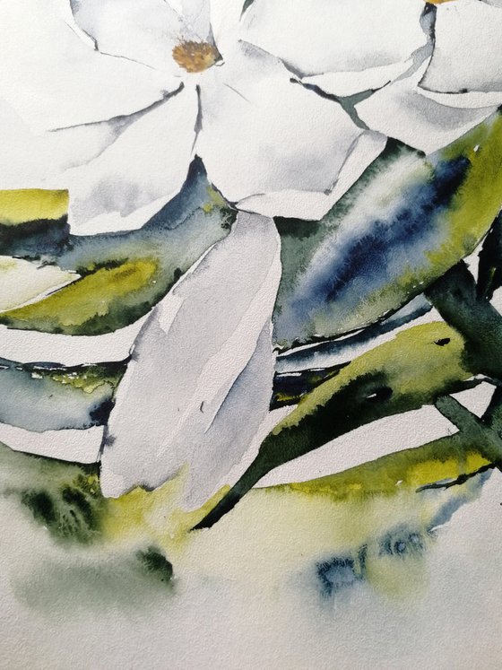 Magnolia painting. Blossoms painting