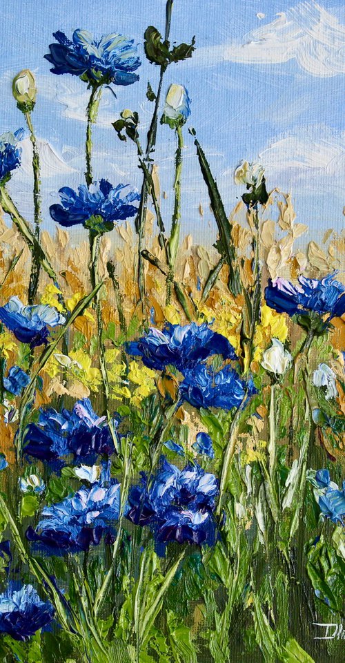 Cornflowers by Liza Illichmann