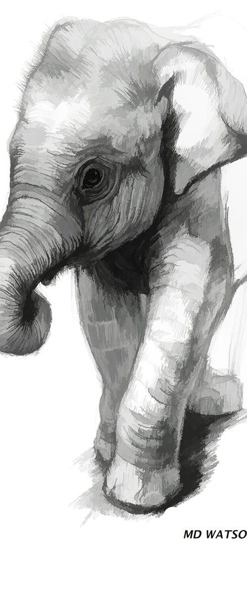Baby Elephant by Marlene Watson
