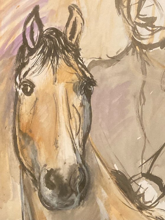 ink horse portrait sketch