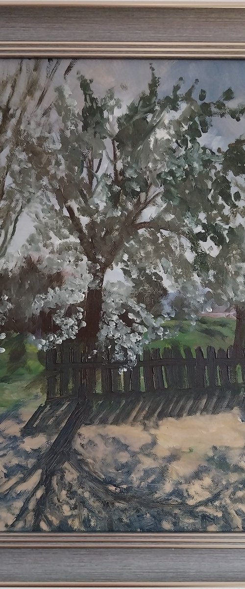 The Flowering Tree by MADALINA GAVRILA