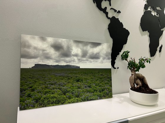 ICELANDIC EXPANSE