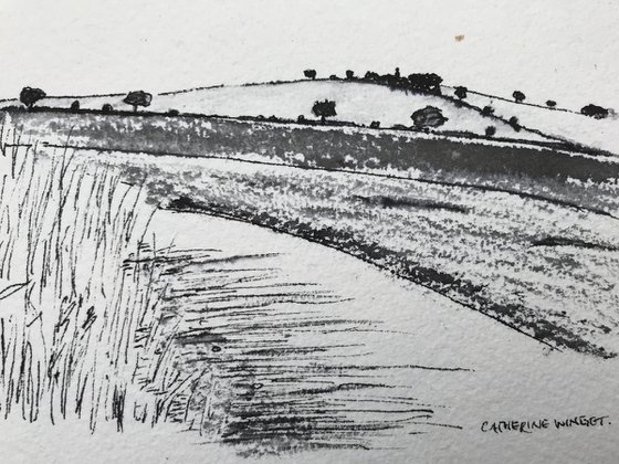 Norfolk Landscape - trees hedges fields hills