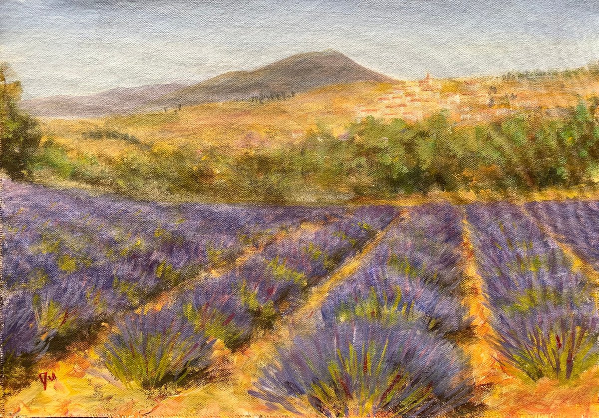 Provence lavender by Shelly Du