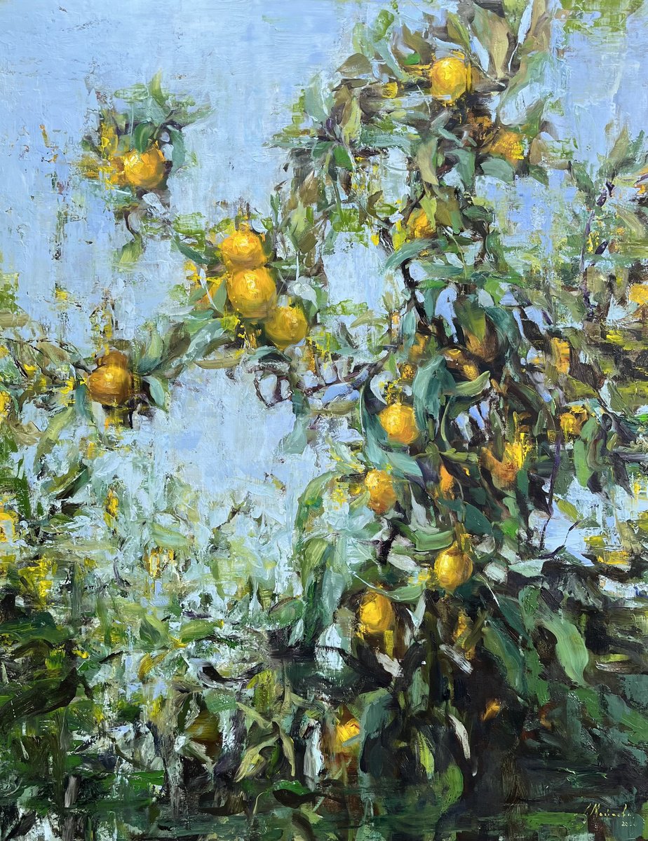 Impressionistic Botanical Oil Painting By Elena Mashajeva-Agraphiotis, 45 X 57, Lemon Tree, Original Artwork