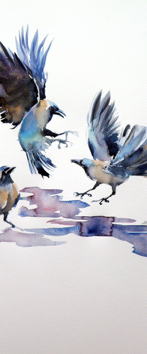 Crows by Kovács Anna Brigitta