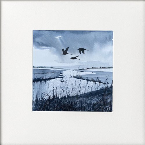 Monochrome - Swans Flying over wetlands by Teresa Tanner