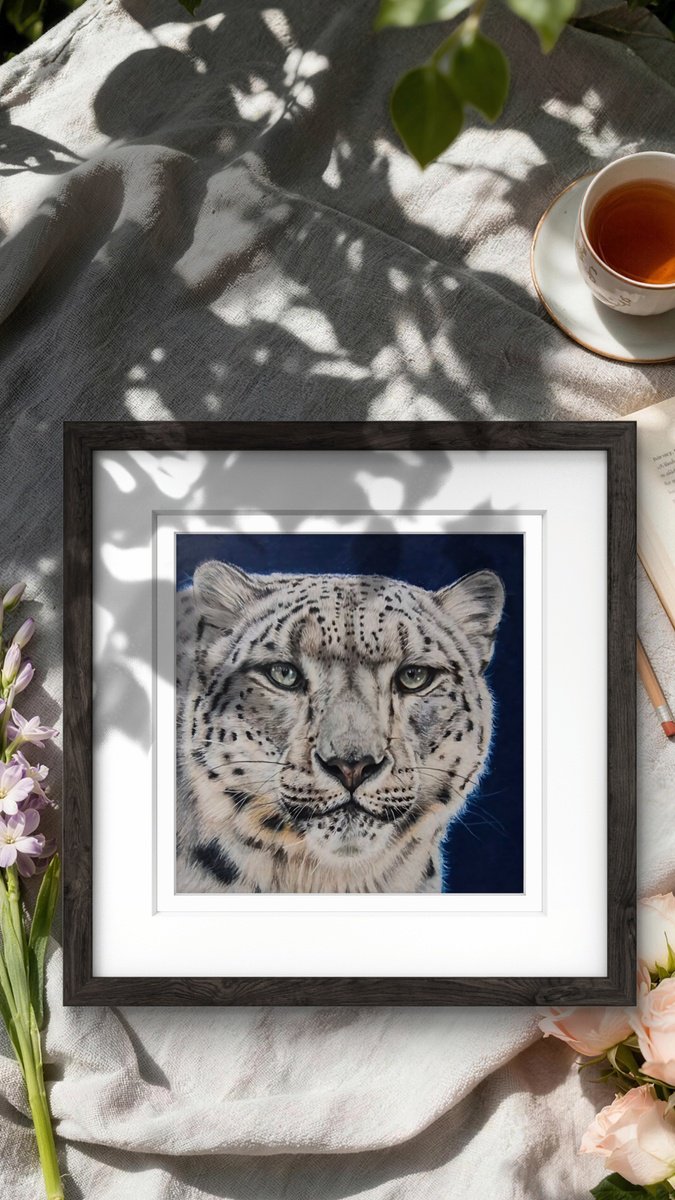 Photorealistic Pencil Drawing , Snow Leopard - Little Big Cats Series No. 2 By Silvia Frei, 12 X 12, Artwork For Sale On Artfinder