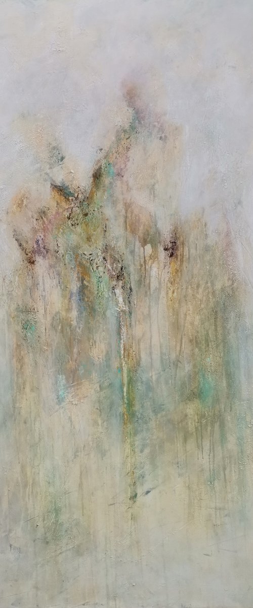 Bathed in sunlight by Doris Duschelbauer