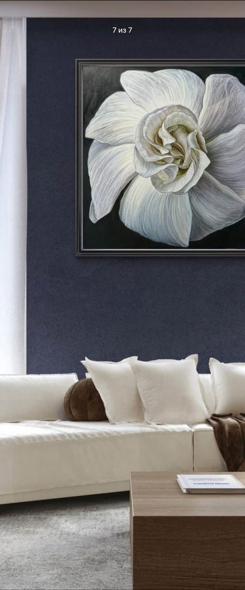 White Camellia Bloom by Elena